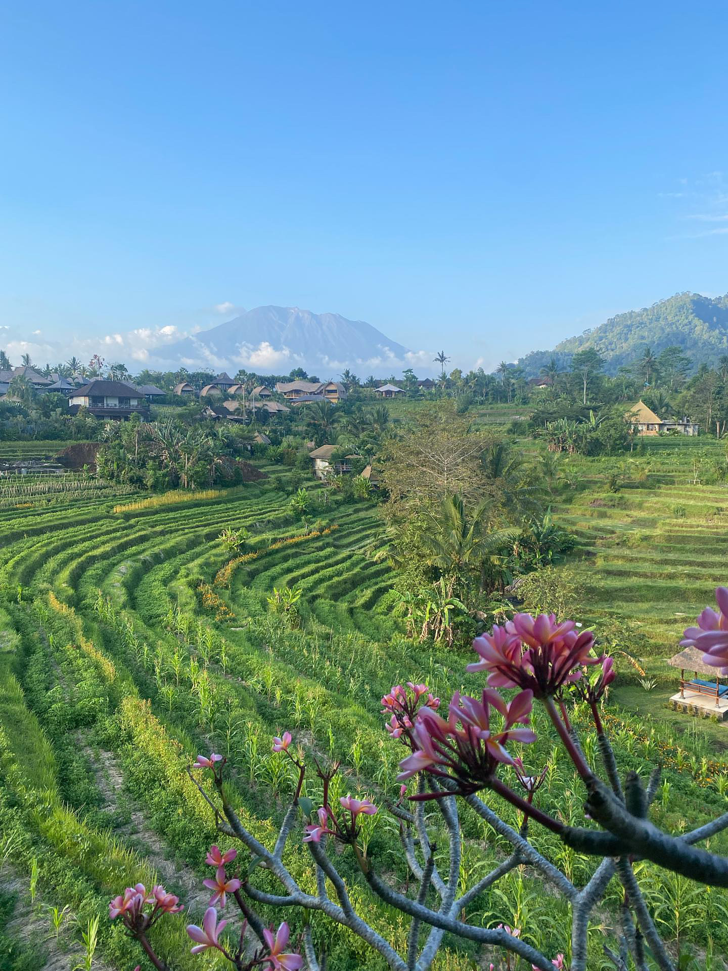 rizière vue voyage bali megavadrouille